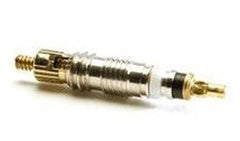 Gusanillo Valvula Núcleo para valvula presta