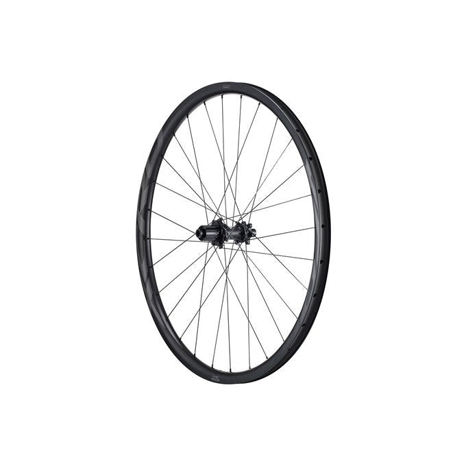 Rueda MTB Trasera Giant XCR 29