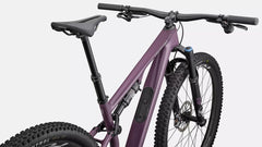 Bicicleta MTB Specialized Epic 8 Evo Expert CstlLc/DuneWht