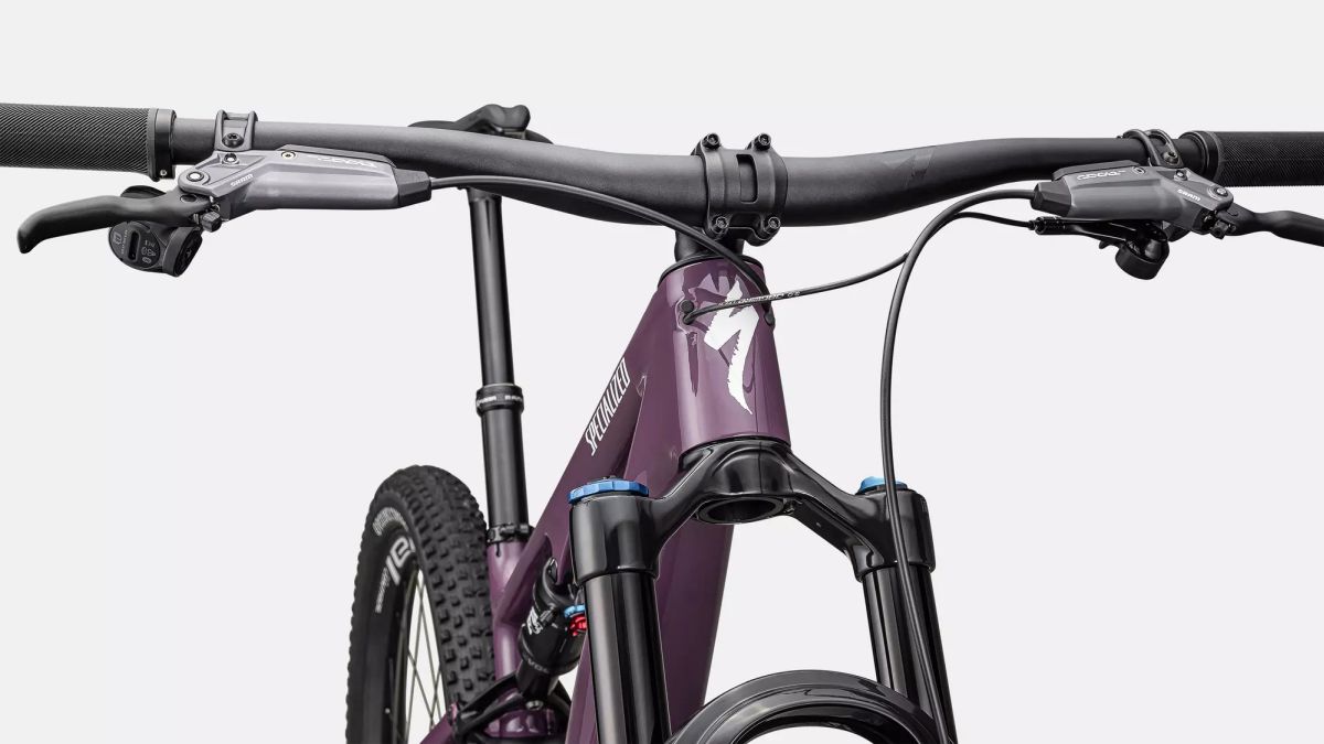 Bicicleta MTB Specialized Epic 8 Evo Expert CstlLc/DuneWht