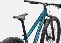 Bicicleta MTB Specialized Rockhopper Expert G Emerald Metal