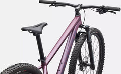 Bicicleta MTB Specialized Rockhopper Expert Satin Quartz Met