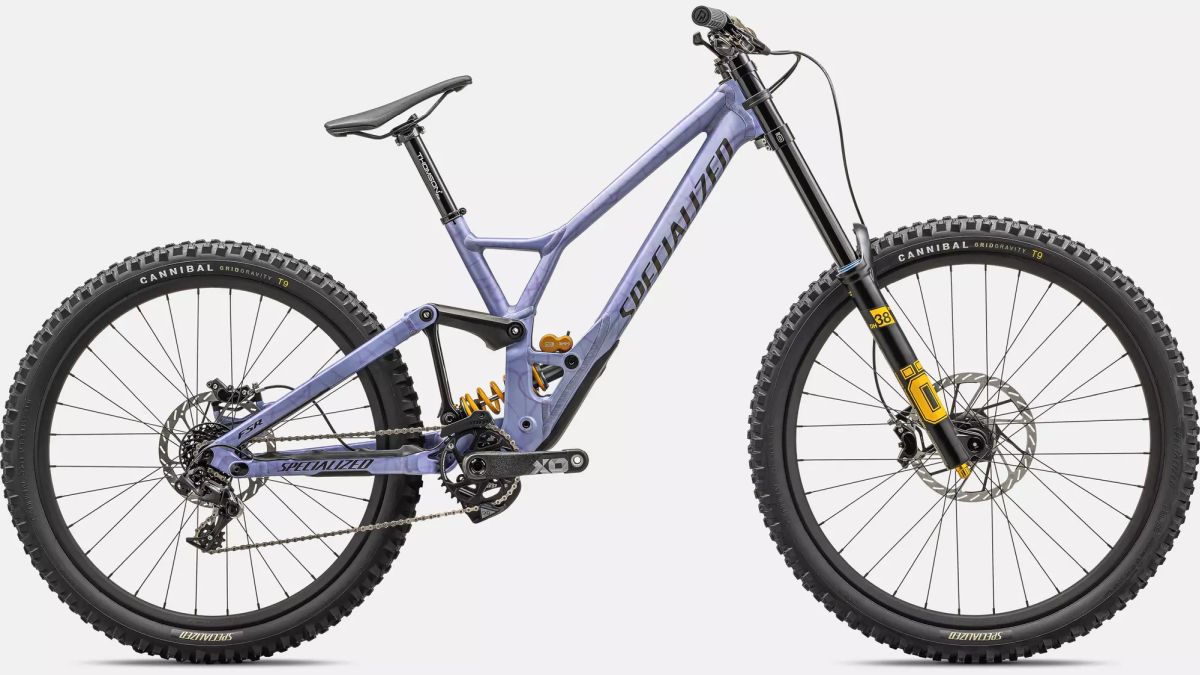 Bicicleta MTB Desenso Specialized Demo Race Indigo/Black