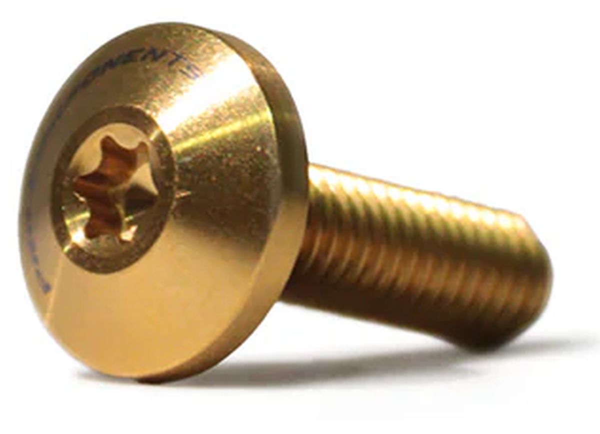 Tornillo para Bicicletas Pro Components M5x17mm (x1 Unidad)