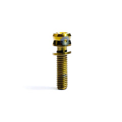 Tornillo ProComponents M6x17mm / M5x40mm Sockts Dorado
