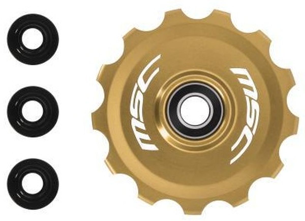 MSC ROLDANA EASY CLEAN 13D ORO