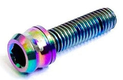 Tornillo ProComponents M5x17mm Tornasol