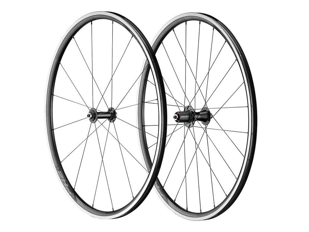 Ruedas Ruta Giant P-R2 16/24
