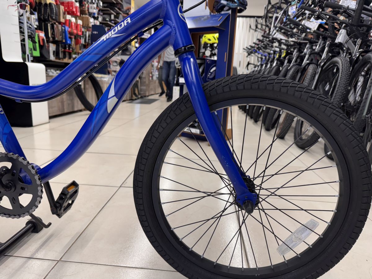 Bicicleta Niño Giant Usada Rin 20 Azul