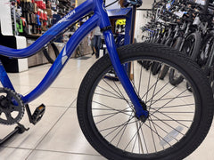 Bicicleta Niño Giant Usada Rin 20 Azul