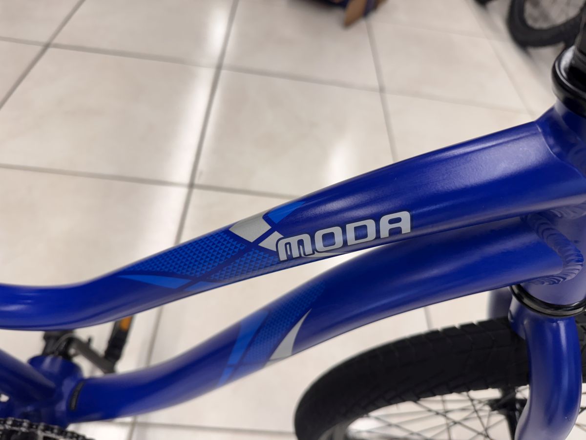 Bicicleta Niño Giant Usada Rin 20 Azul