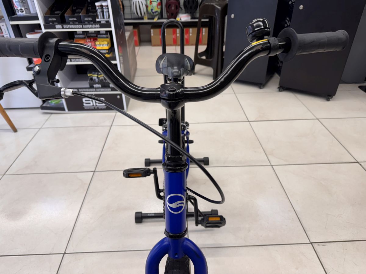 Bicicleta Niño Giant Usada Rin 20 Azul