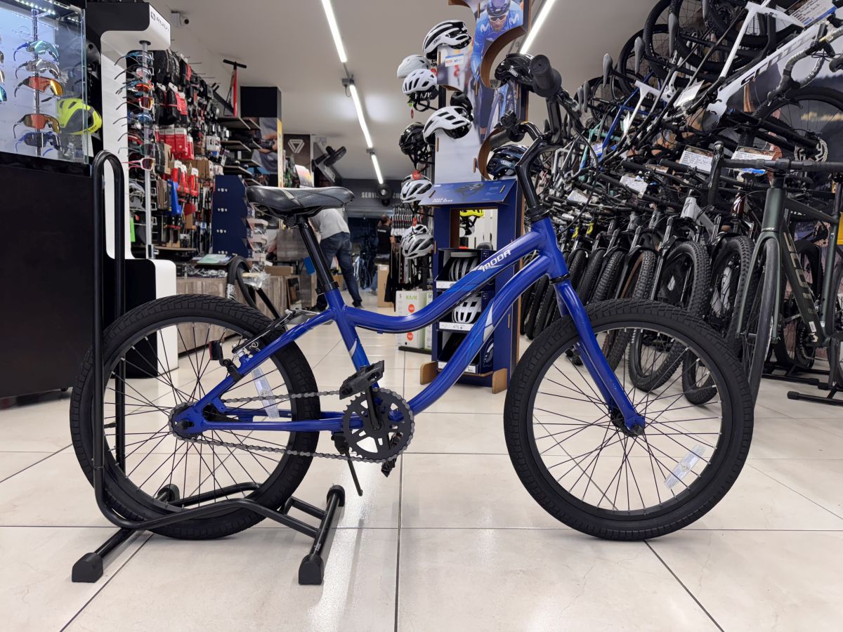 Bicicleta Niño Giant Usada Rin 20 Azul